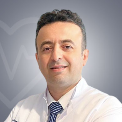 1740637021 d508171cea38ec984038